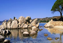 鲸鱼体育NBA：多夫比克上赛季至今共计打进40球，其中联赛35球10助攻.